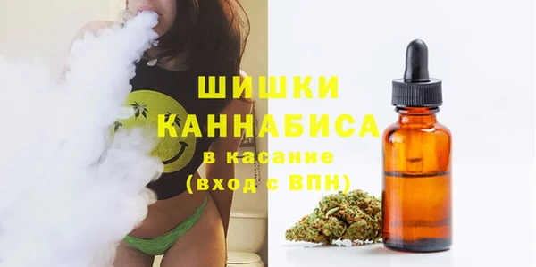 бошки Гусиноозёрск