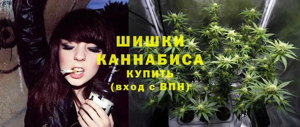 шишки Дмитриев