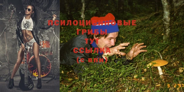 эйфоретик Гусев